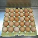 Alvéole de 30 œufs - 30 œufs taille M
