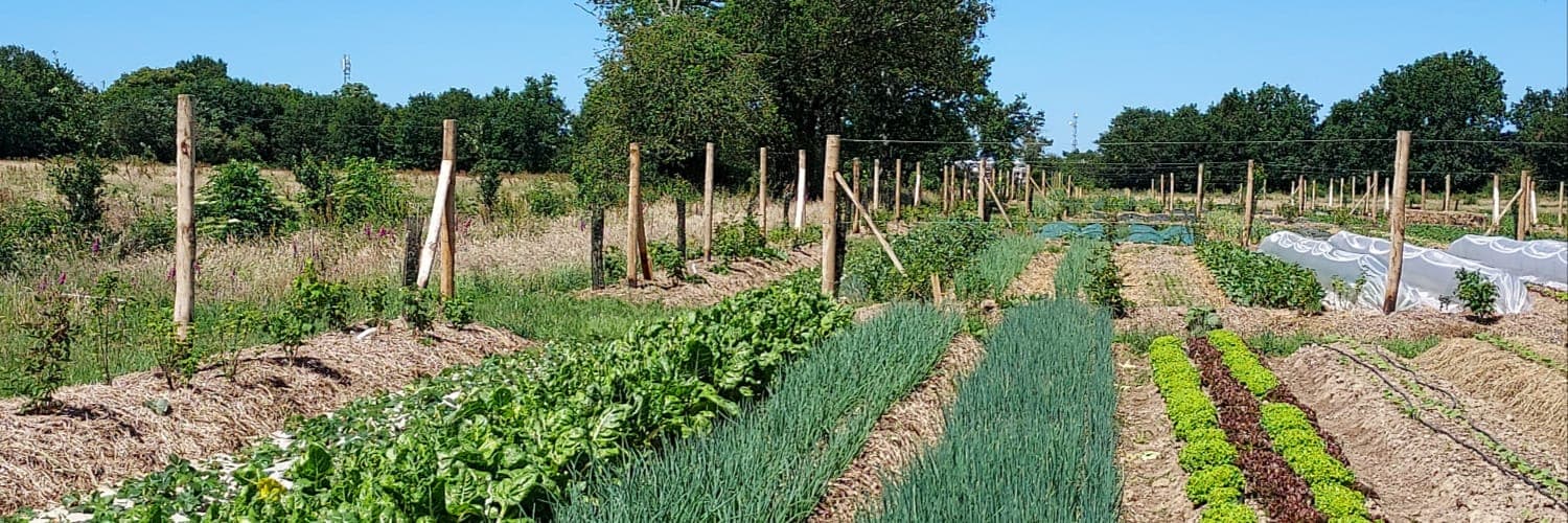 Bannière de La Fabrik' à Légumes