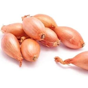 Echalote