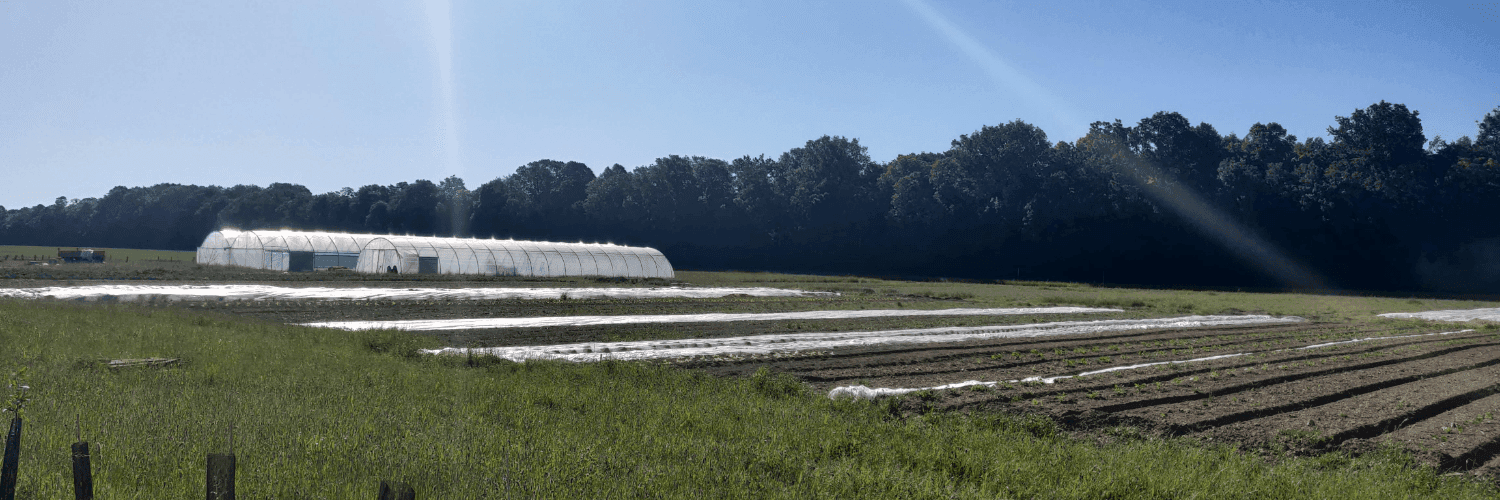 Bannière de Ecole des semeurs