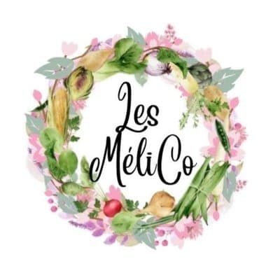 Logo de Les MéliCo REVEL