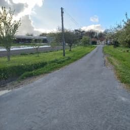 EARL ROY EARL ROY #6