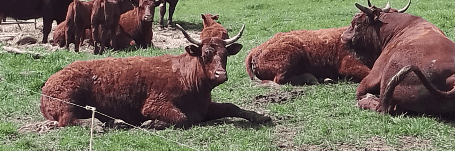 Bannière de scea Ferme BIOPEVELE