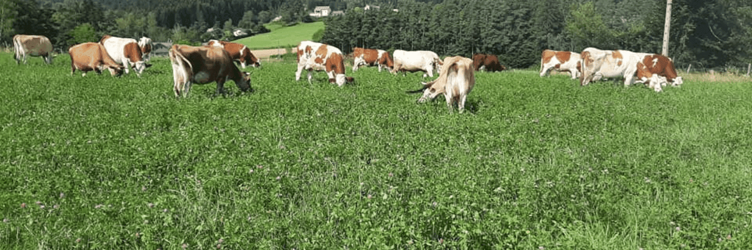 Bannière de GAEC Vach'mont Bio