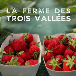 La Ferme des Trois Vallées La Ferme des Trois Vallées #2