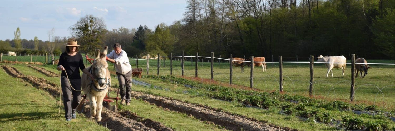 Bannière de Ferme de la Marsottière