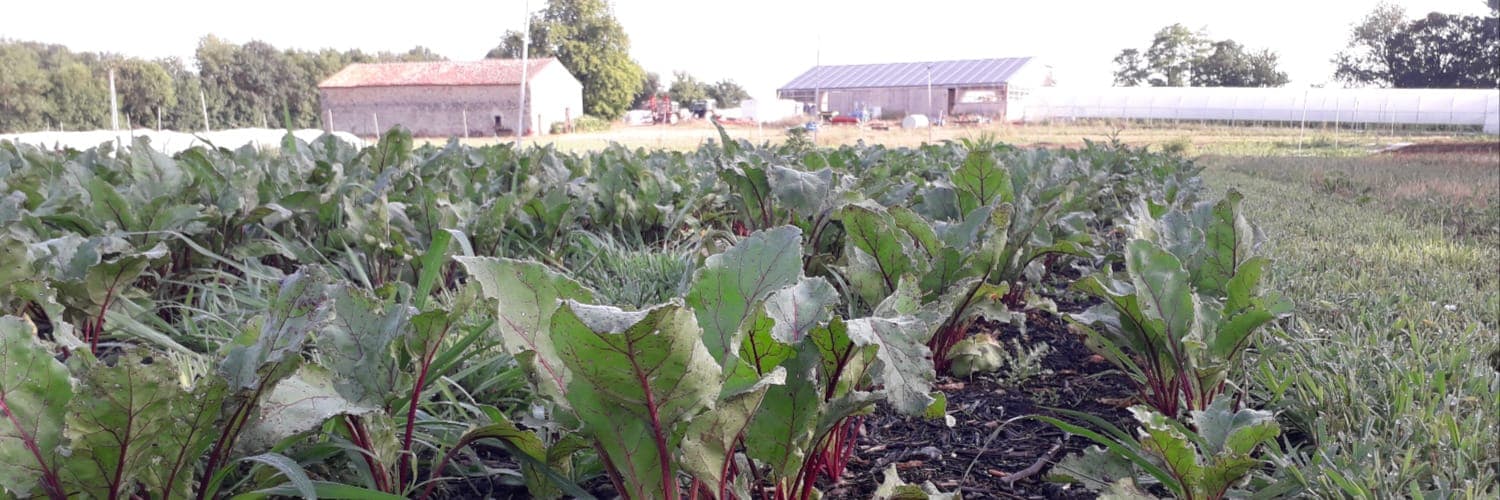 Bannière de EARL les Jardins de l'Osme