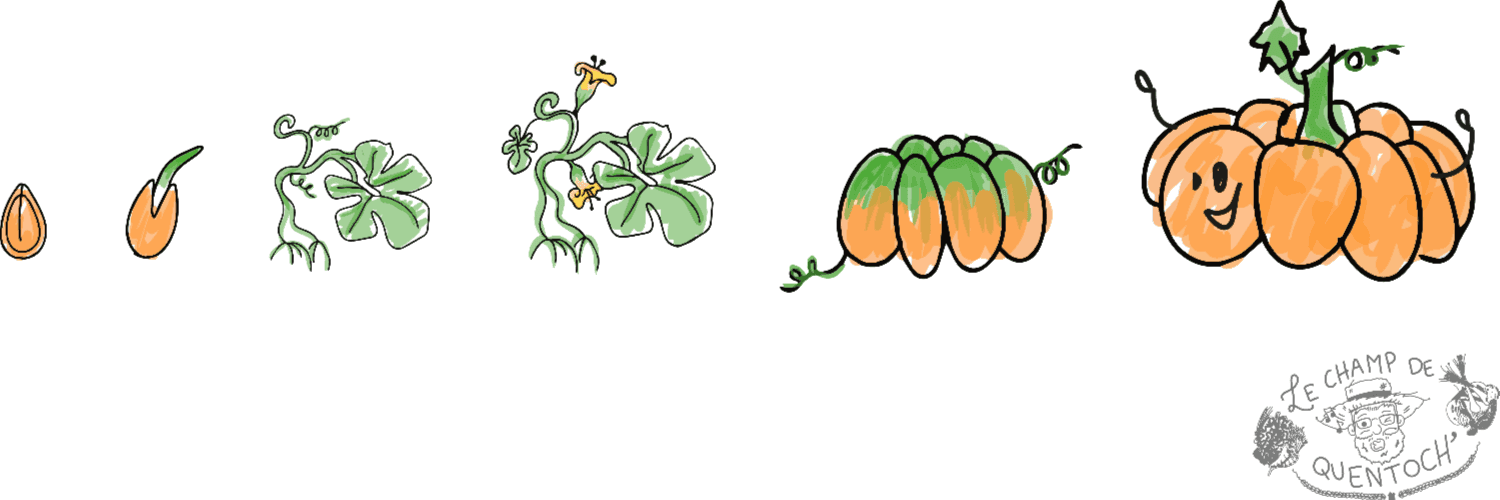 Bannière de Le Champ des Barbus