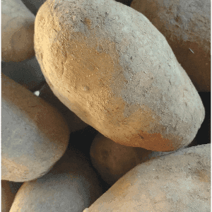 Pomme de terre