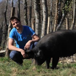 La Ferme de Louva La Ferme de Louva #2