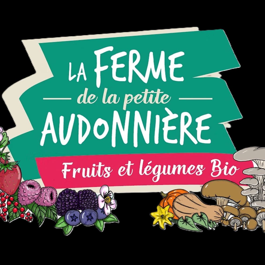 Logo de A la Petite Audonnière