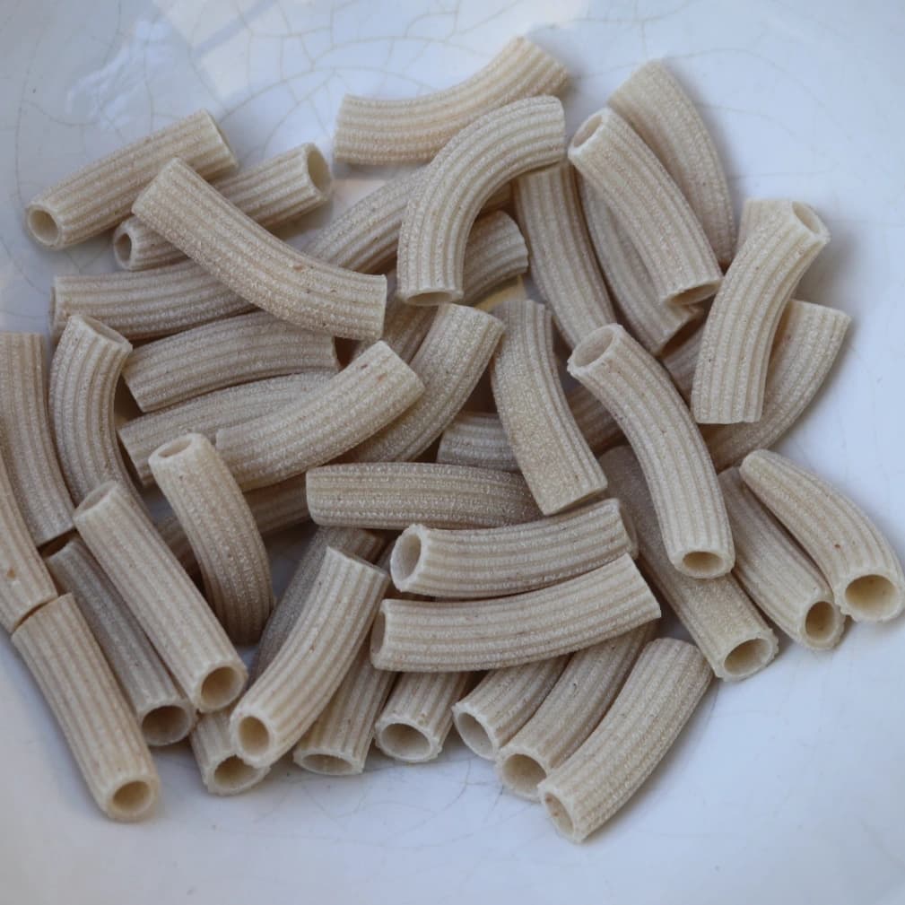 Pâtes Macaroni au blé poulard - 500g