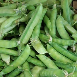 Pois à écosser
