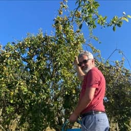 l'éco ferme de Paguemaou l'éco ferme de Paguemaou #0