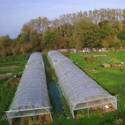 LES JARDINS DE BLANDINE LES JARDINS DE BLANDINE #2
