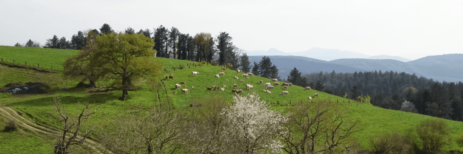 Bannière de GAEC Zerralia