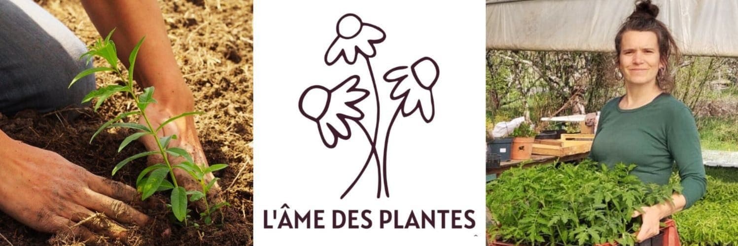 Bannière de L'âme des plantes