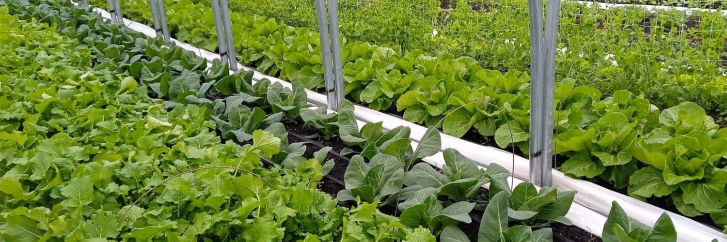 Bannière de Les Jardins de Falune
