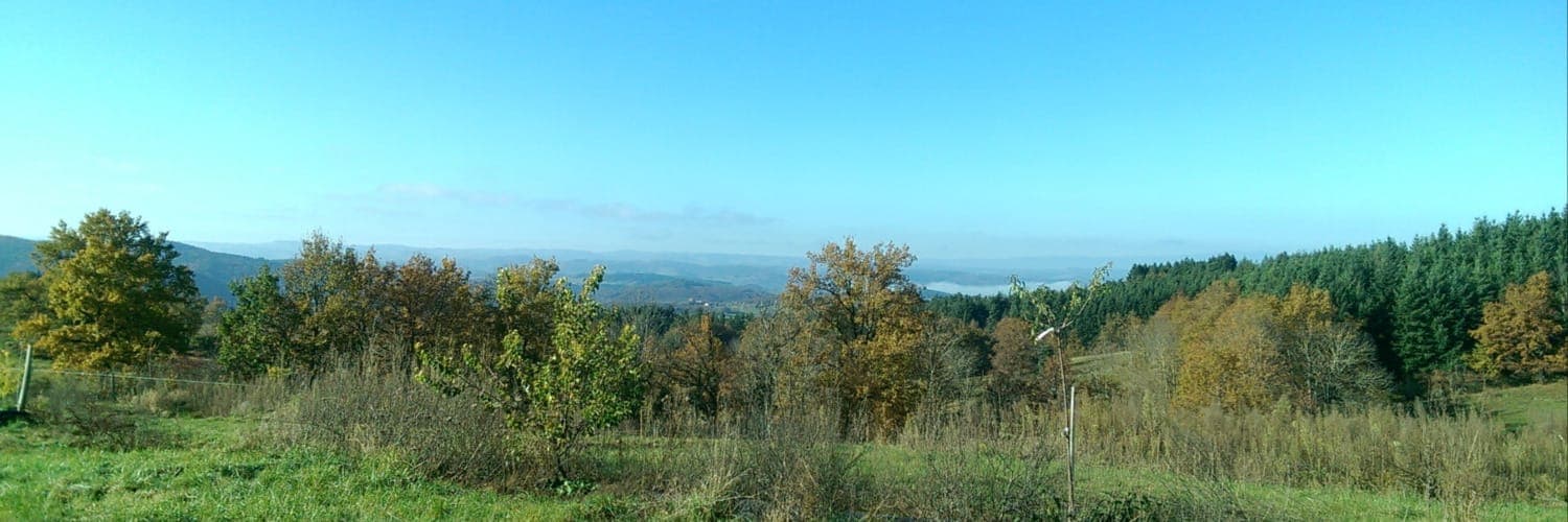 Bannière de Les JARDINS de MAXIME