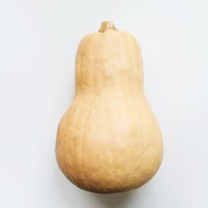 Butternut