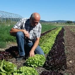 Le Jardin des Jullins Le Jardin des Jullins #2