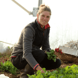 Les Terres de Maia Les Terres de Maia #0