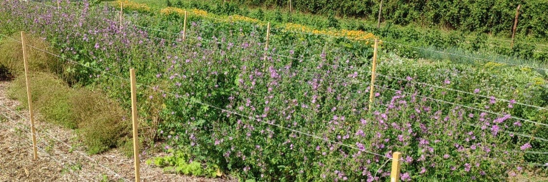 Bannière de Le jardin S en ciel - CIAP PDL BBG