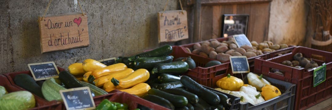 Bannière de Le potager des 1000 saveurs