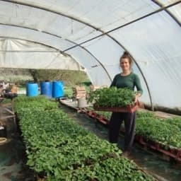 Logo de Vente de plants - Nérac