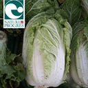 Chou Chinois - pièce d'environ 800g