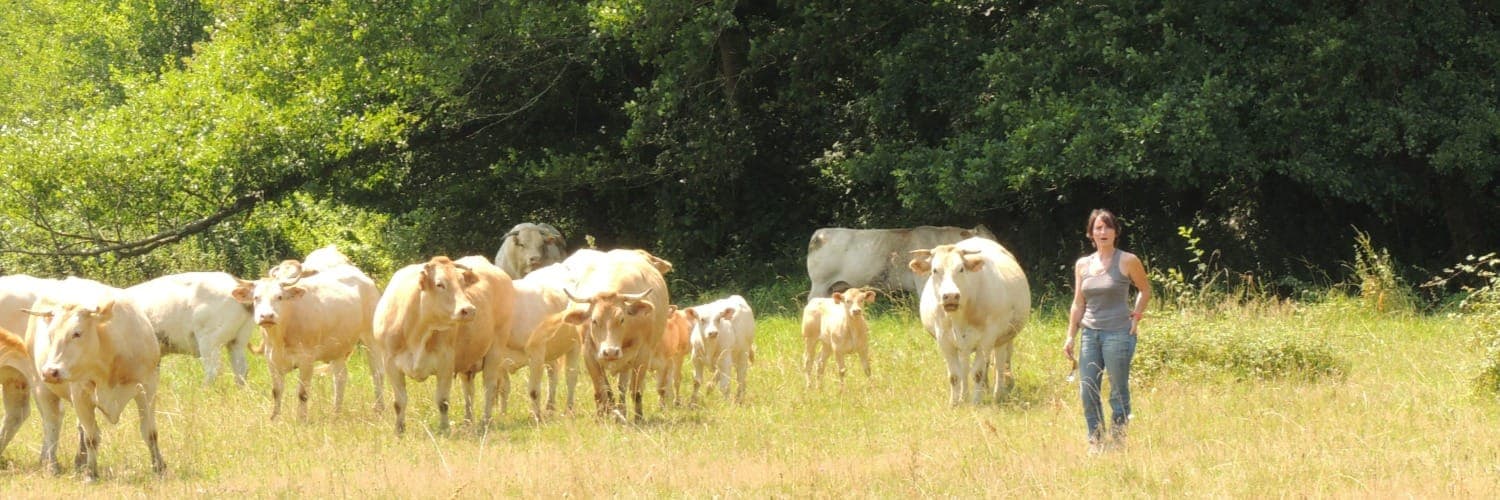 Bannière de Ferme Menaubayle