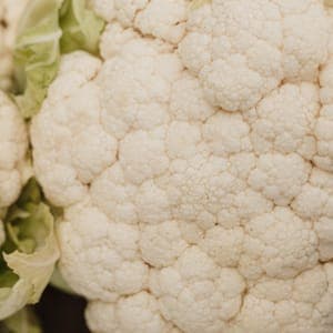Chou fleur
