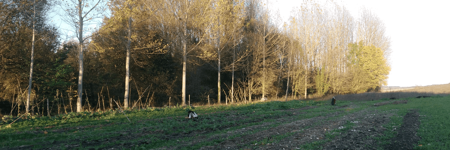 Bannière de Ferme Terre d'Amour