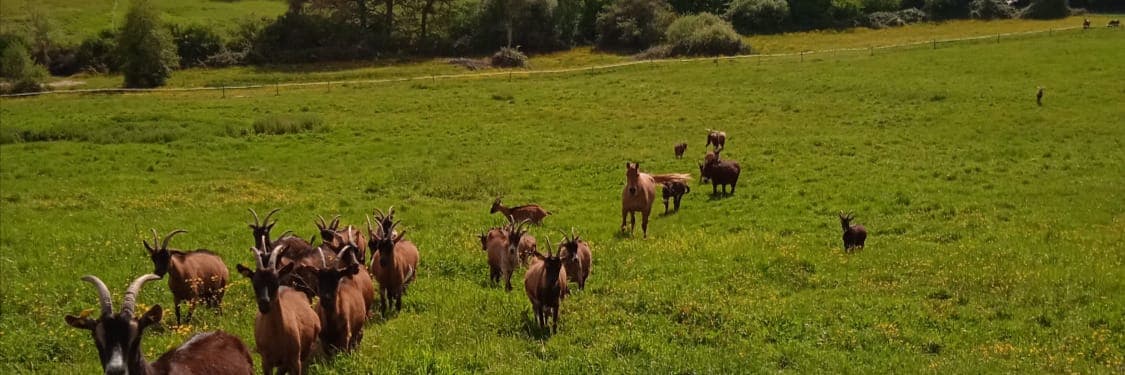 Bannière de Ferme de Martignac