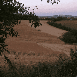 GAEC DE LA MAURINIE GAEC DE LA MAURINIE #5