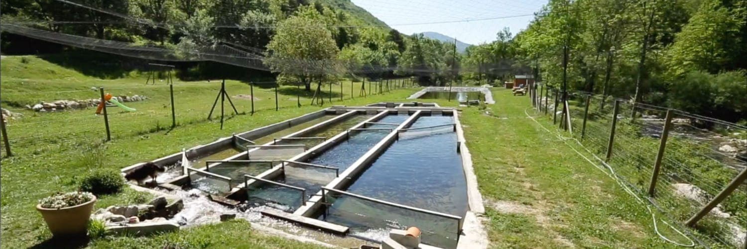 Bannière de Pisciculture du CHEIRON