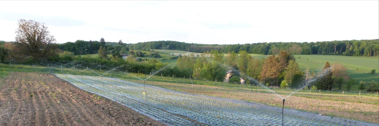 Bannière de Les jardins d'Élodie