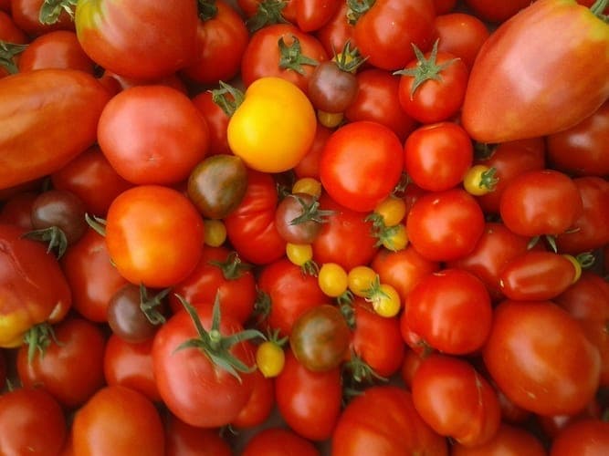 Bannière de La ferme Pays'Anne