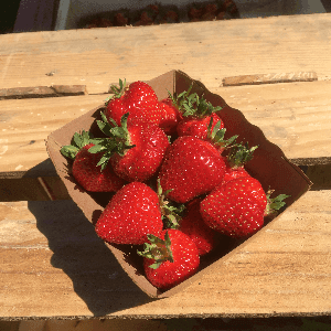 fraise 250 g
