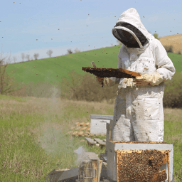 M.iel Miflore M.iel Miflore #3