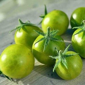 Plant de tomate cerise Verte