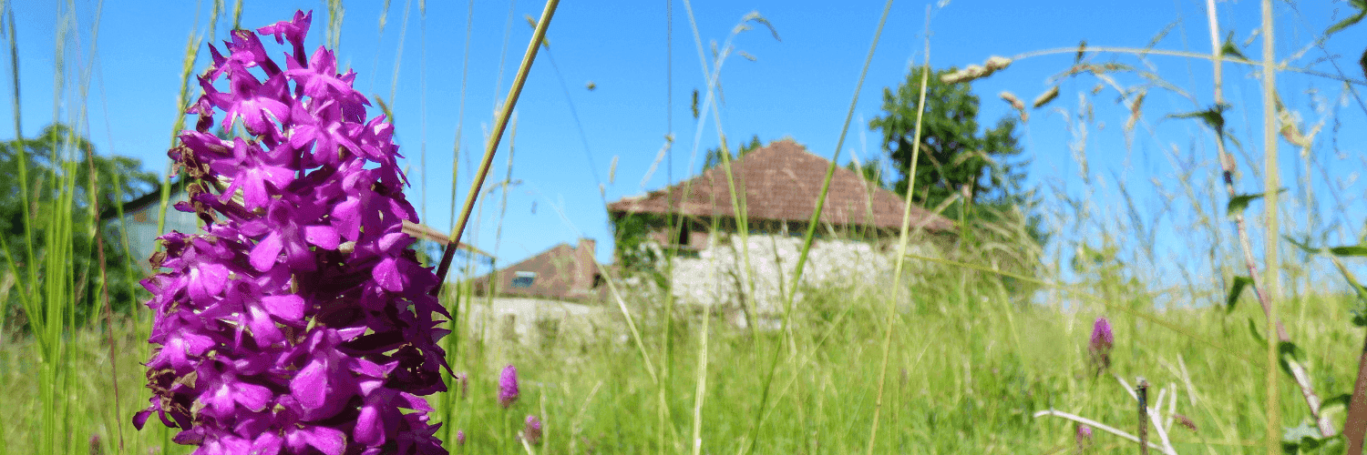 Bannière de GAEC de la Ferme de LAVAL HAUT