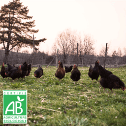 Les Poulaillers de l'Hermet Les Poulaillers de l'Hermet #7