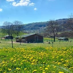 Aux vergers des volailles Aux vergers des volailles #6