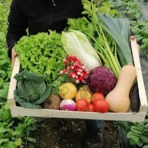 Paniers de saison valeur réel 14€