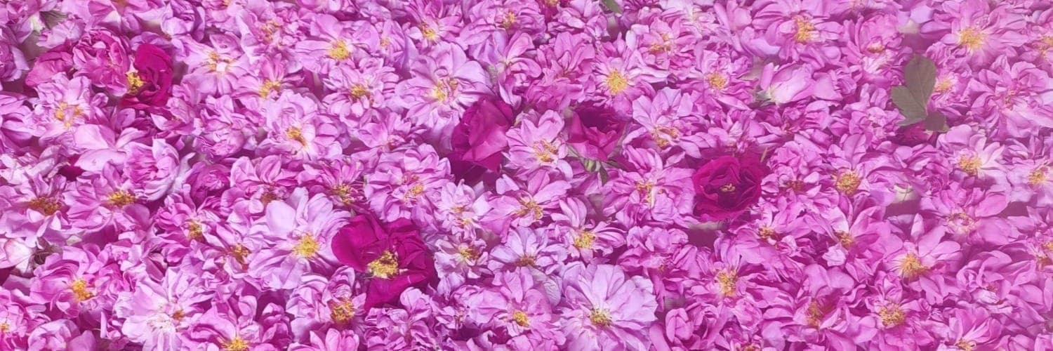 Bannière de Melissane