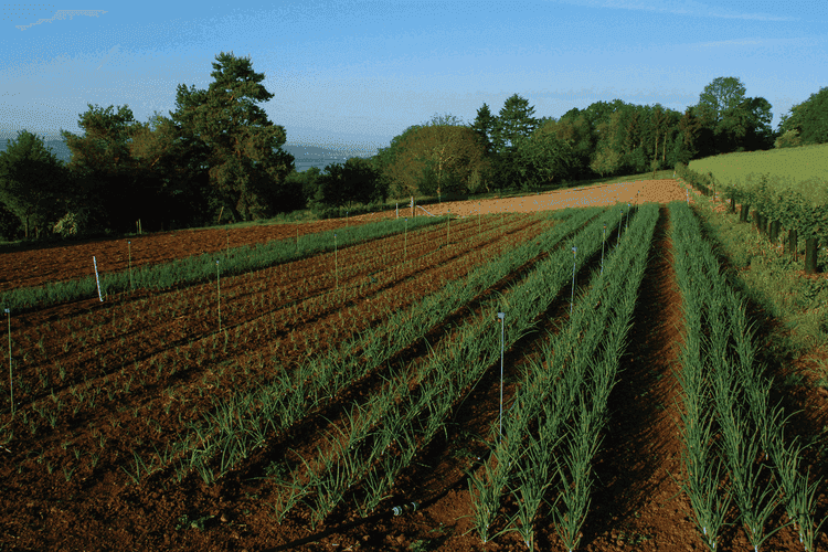 Bannière de Yann Doridant