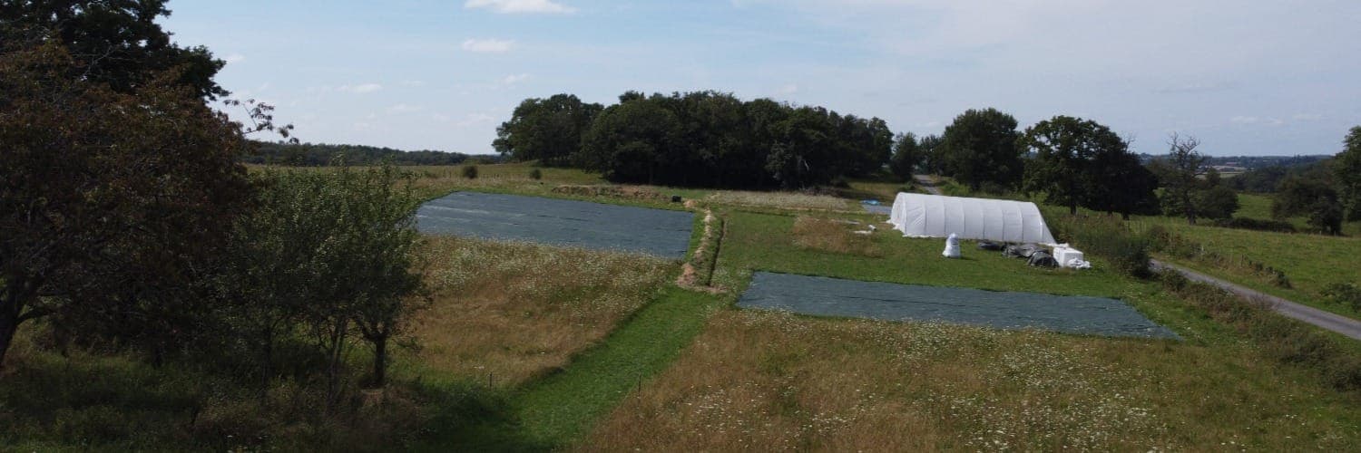Bannière de Les Jardins des Fougères