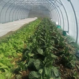 Vincent HULIN Vincent HULIN #4