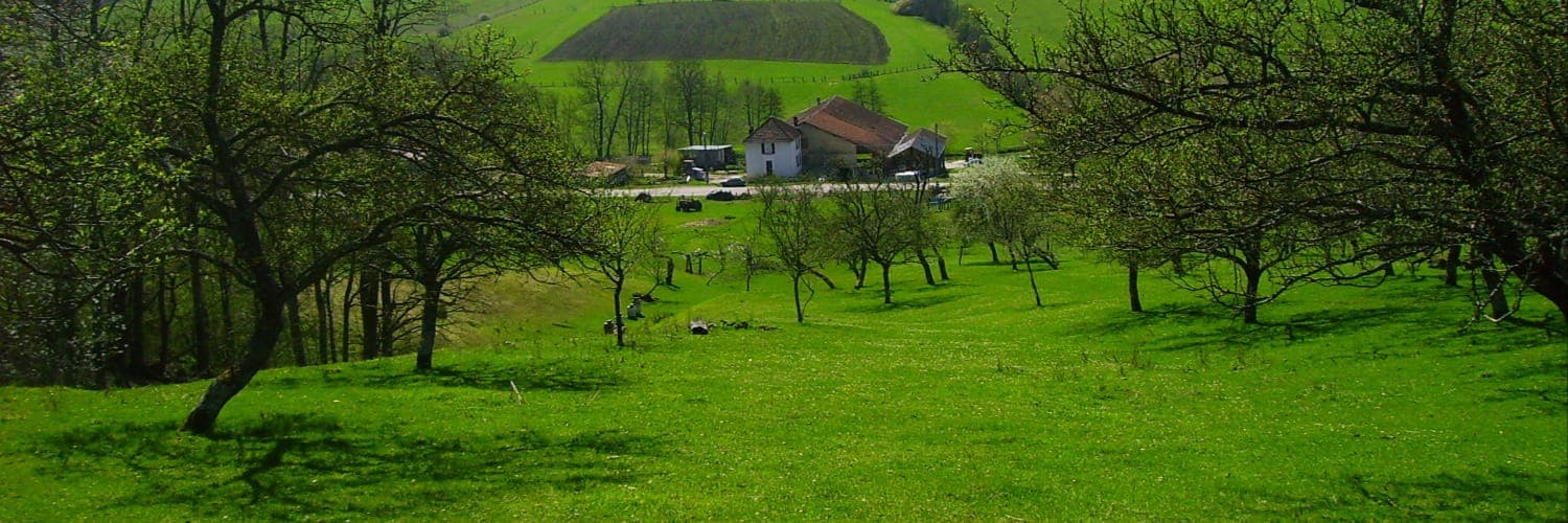 Bannière de EARL DE CHOZEL
